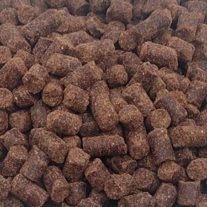 Spier en gewrichten Spier & Gewrichten