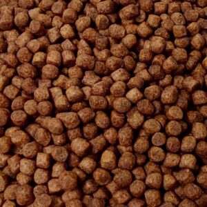 2025-04-03 11.10.22 Mini Kip