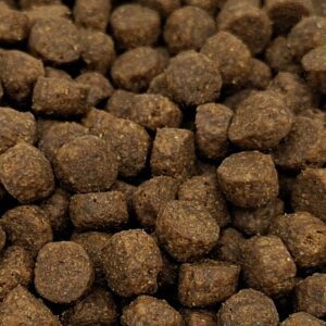 20250930_130250 Premium kat Zalm Graanvrij