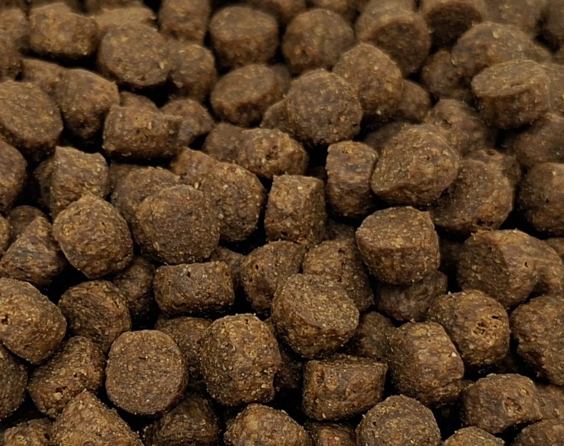 Premium kat Zalm Graanvrij