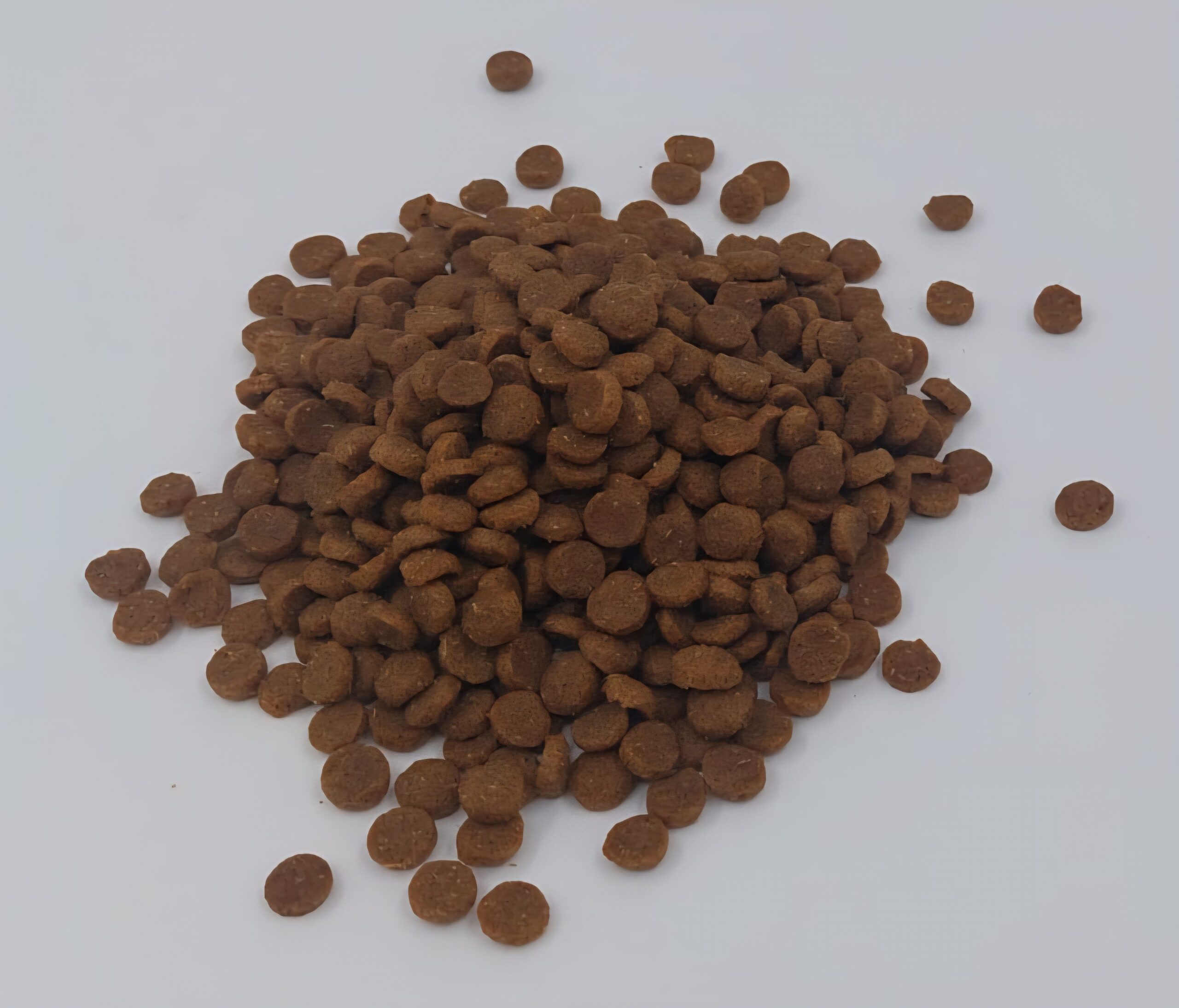 Premium kat Light - Afbeelding 2