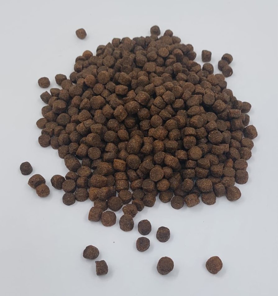 Premium kitten brokjes - Afbeelding 2