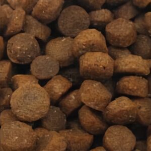 sensitive kat (3) Premium kat Light