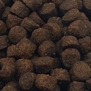 20250710_131414 Premium kitten brokjes