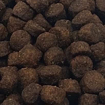 Premium kitten brokjes